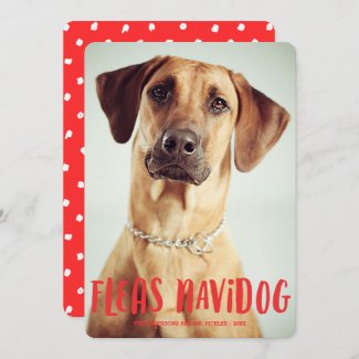 Fleas Navidog Cute Funny Dog | Holiday Photo