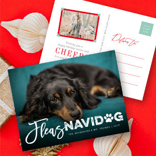 Fleas Navidog Paw Print Dog Lover Photo Funny Pet Holiday Postcard