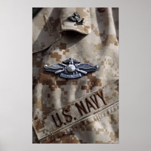 Fleet Marine Force Warfare device pin Poster