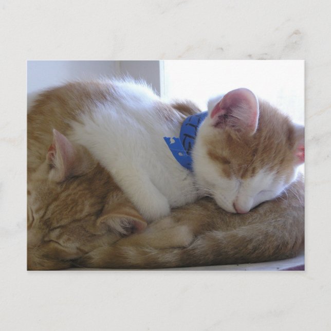 Flemming & Finley Announcement Postcard (Front)