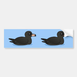 Flesh-footed Shearwater (swimming) Bumper Sticker