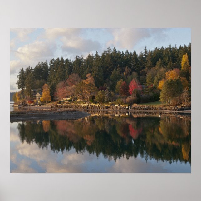 Fletcher Bay Poster (Front)