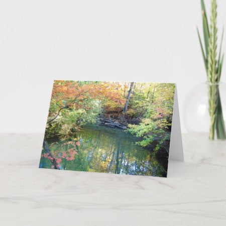 Fletcher Park Autumn Water Scene Greeting Card