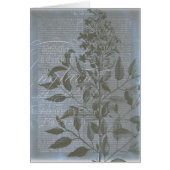 Fleur de Bleu I (Front)