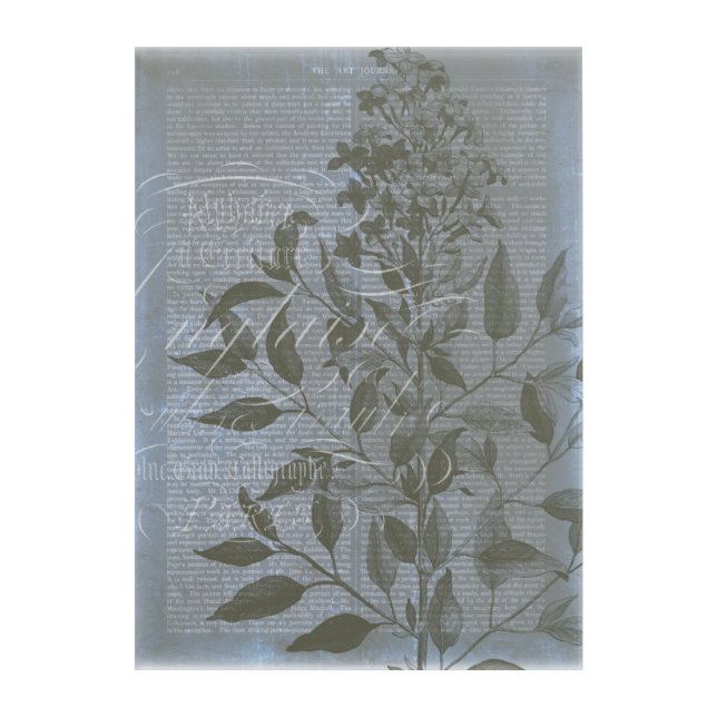 Fleur de Bleu I Acrylic Print (Front)