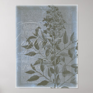 Fleur de Bleu I Poster
