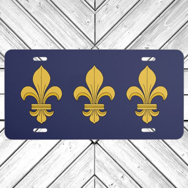 Fleur-de-lis License Plate (Fleur-de-lis License Plate on Garage Door)