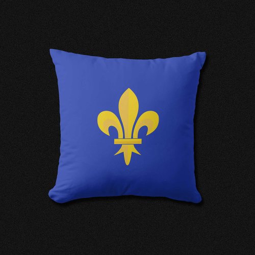 Fleur de Lis on Royal Blue Pillow