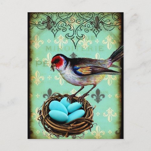 Fleur Di Lis Bird Nest Shabby Chic Postcard