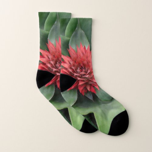 Fleur rouge tropicale socks