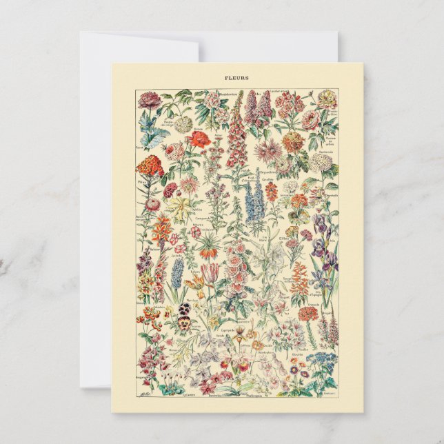 Fleurs Botanical Wildflower Gardening Diagram (Front)