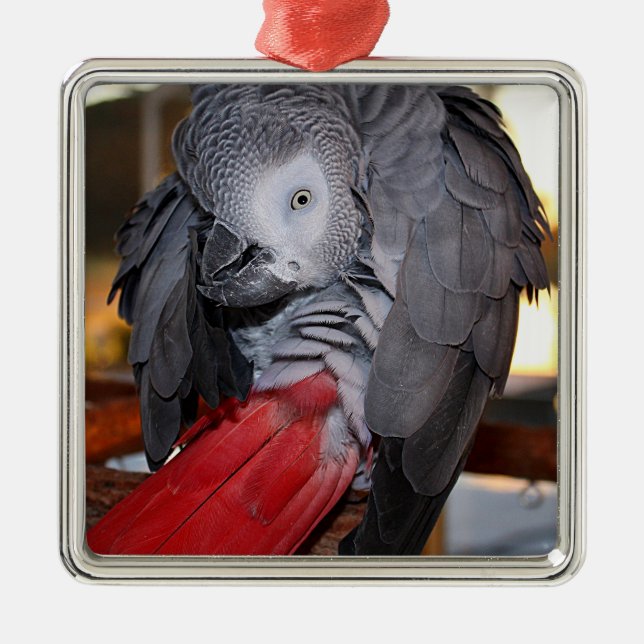 Flexible Congo African Gray Parrot with Red Tail Metal Ornament (Front)