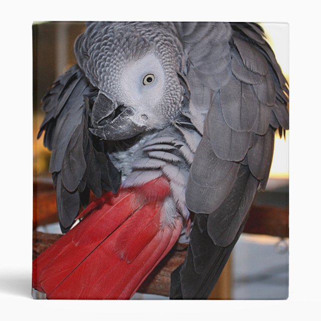 Flexible Congo African Grey Parrot with Red Tail Binder (Front)