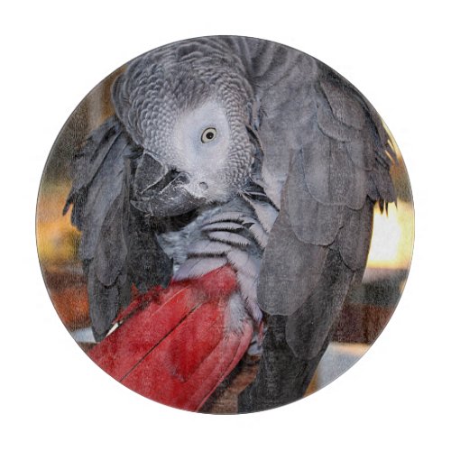 Flexible Congo African Grey Parrot with Red Tail Cutting Board