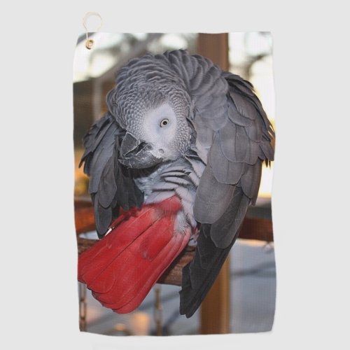 Flexible Congo African Grey Parrot with Red Tail Golf Towel