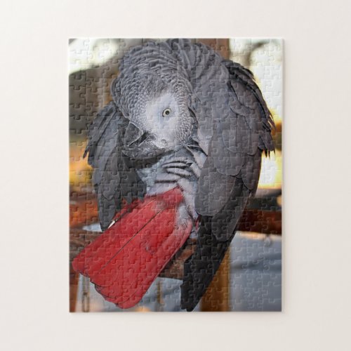 Flexible Congo African Grey Parrot with Red Tail Jigsaw Puzzle