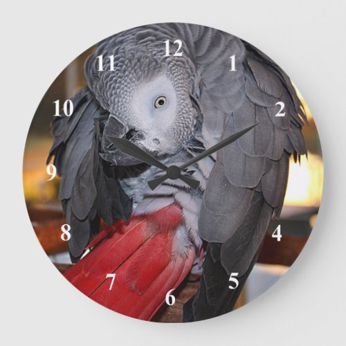 Flexible Congo African Grey Parrot with Red Tail Large Clock