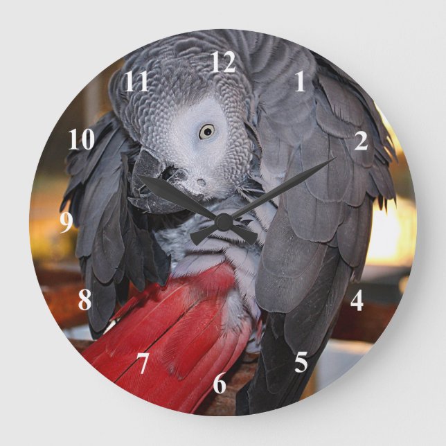Flexible Congo African Grey Parrot with Red Tail Large Clock (Front)