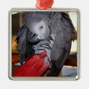 Flexible Congo African Grey Parrot with Red Tail Metal Ornament