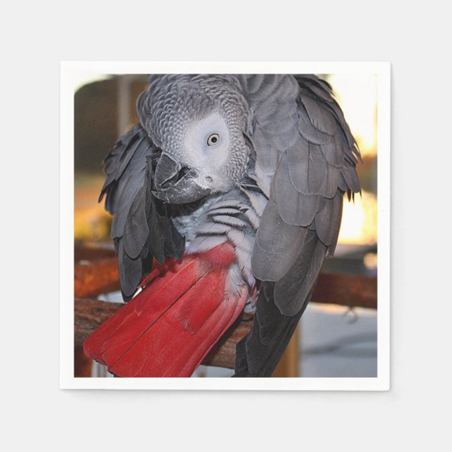 Flexible Congo African Grey Parrot with Red Tail Napkins (Front)