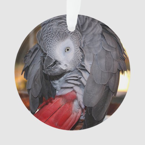 Flexible Congo African Grey Parrot with Red Tail Ornament