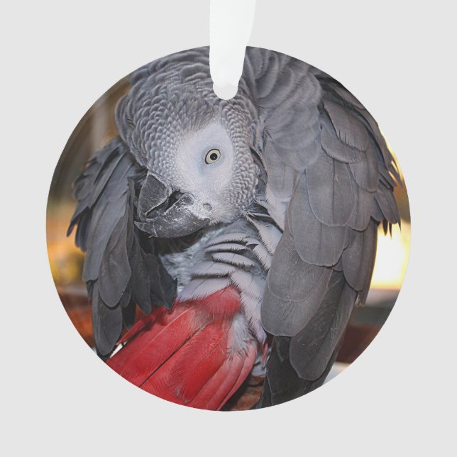 Flexible Congo African Grey Parrot with Red Tail Ornament (Front)