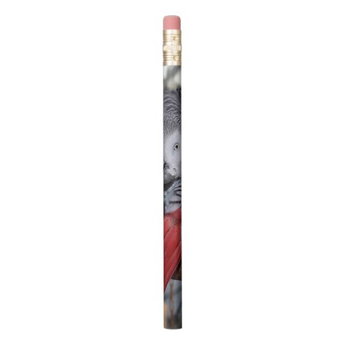 Flexible Congo African Grey Parrot with Red Tail Pencil