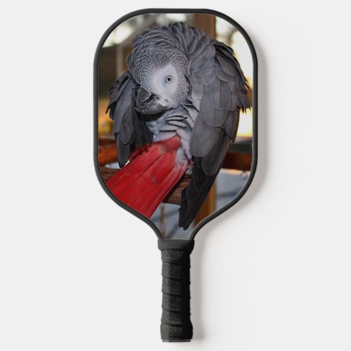 Flexible Congo African Grey Parrot with Red Tail Pickleball Paddle