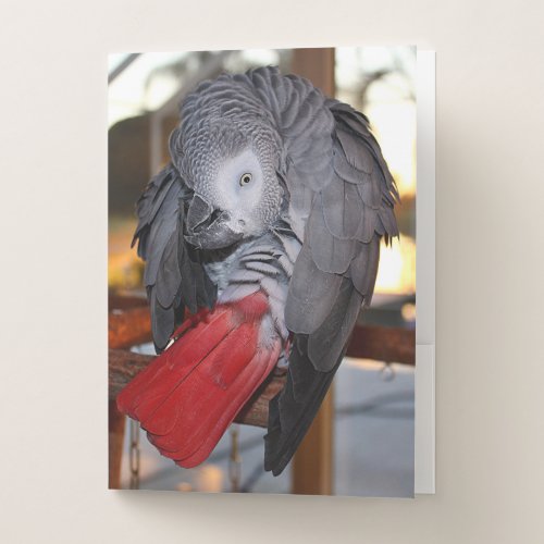Flexible Congo African Grey Parrot with Red Tail Pocket Folder