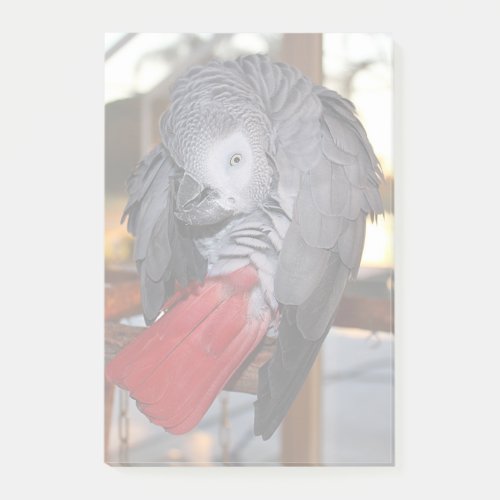 Flexible Congo African Grey Parrot with Red Tail Post_it Notes