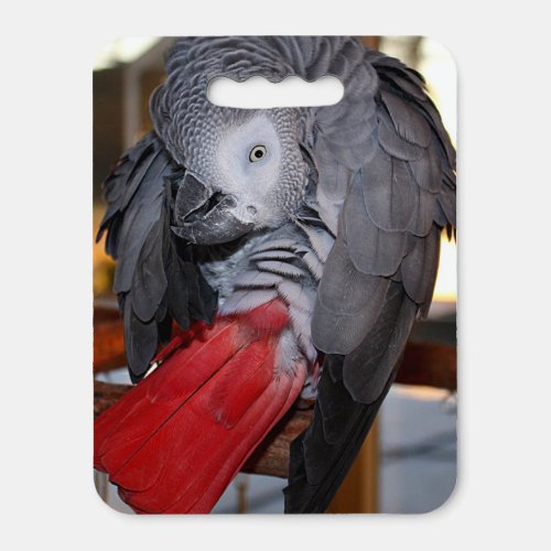 Flexible Congo African Grey Parrot with Red Tail Seat Cushion