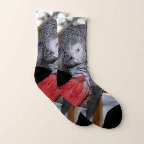Flexible Congo African Grey Parrot with Red Tail Socks