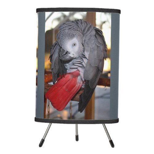Flexible Congo African Grey Parrot with Red Tail Tripod Lamp
