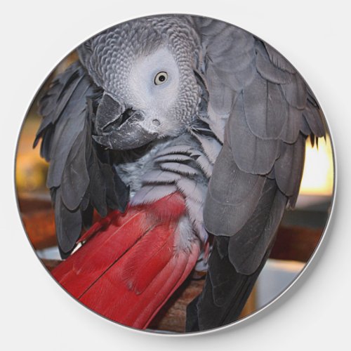 Flexible Congo African Grey Parrot with Red Tail Wireless Charger