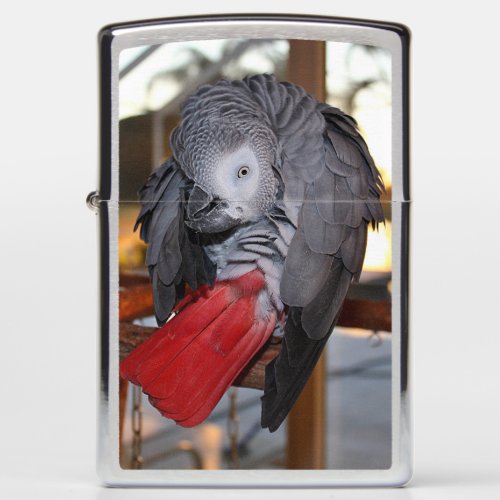 Flexible Congo African Grey Parrot with Red Tail Zippo Lighter