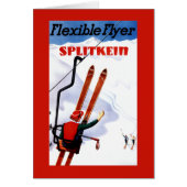 Flexible Flyer Splitkein Wooden Skis Promo (Front)