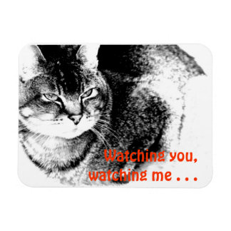 Flexible Fridge Magnet - Watchful Cat!