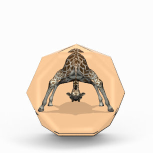Flexible Giraffe Award