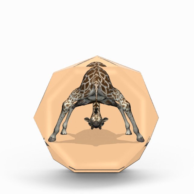 Flexible Giraffe Award (Front)