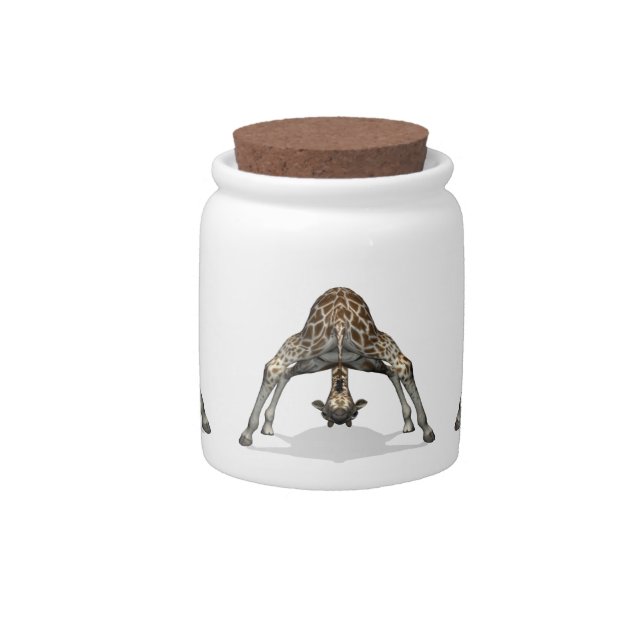 Flexible Giraffe Candy Jar (Front)