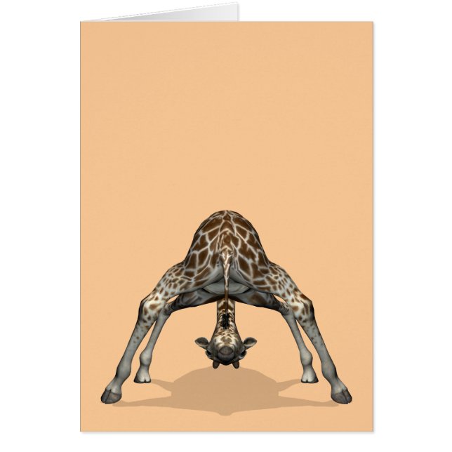 Flexible Giraffe Cards (Front)