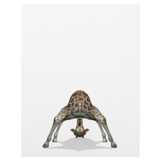 Flexible Giraffe Flyer