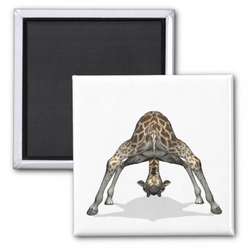 Flexible Giraffe Magnet