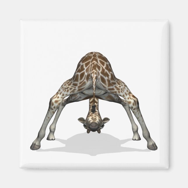 Flexible Giraffe Magnet (Front)