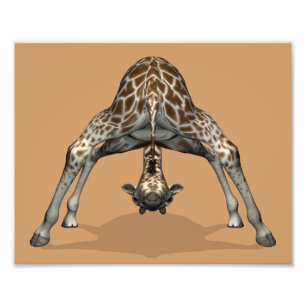 Flexible Giraffe Photo Print