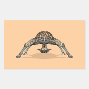 Flexible Giraffe Rectangular Sticker