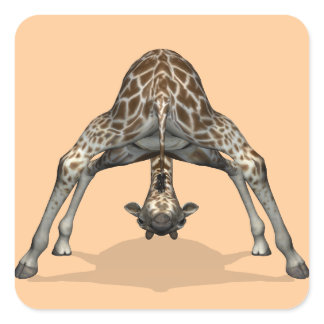 Flexible Giraffe Square Sticker