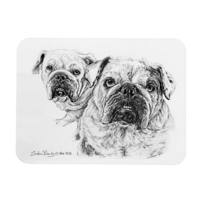 Flexible Magnet of The Bald Divas! (Horizontal)