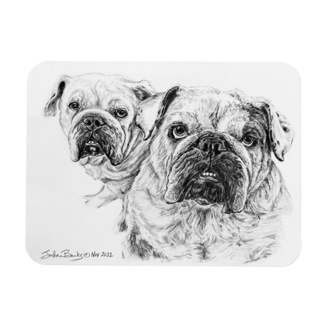 Flexible Magnet of The Bald Divas! (Horizontal)