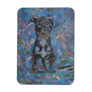 Flexible Photo Magnet